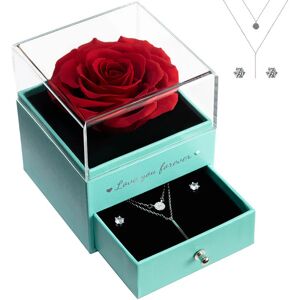 Yamonic Love You Forever Eternal Rose in Rose Box, Preserved Rose with Layered Necklaces and Stud Earrings, Real Rose Gifts for Her, Jewelry Sets for Women,Tiffany Blue Box,Red Rose - Brand New