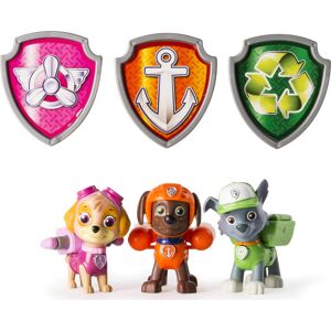 Paw Patrol Action Pack Pups Set 5 (Skye, Zuma And Rocky) (Styles Vary) - Brand New