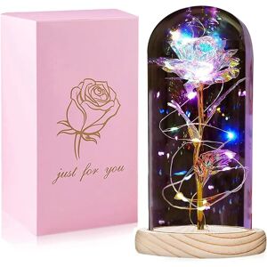 QUNPON Mothers Day Flowers Gifts From Daughter Son, Birthday Gifts for Women Her, Mothers Day Mum Gifts for Grandma Nanny, Beauty and the Beast Rose in Glass Dome, Forever Artificial Rose Flowers - Brand New