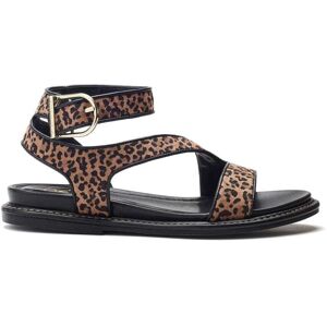 Moda In Pelle Nolanna Black - Leopard Alcantara 36 Size: UK 3 / EU 36 Moda In Pelle Nolanna Black - Leopard Alcantara 36 Size: UK 3 / EU 36