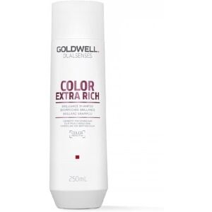 Goldwell Dualsenses Color Extra Rich Brilliance Shampoo - 250ml Goldwell Dualsenses Color Extra Rich Brilliance Shampoo - 250ml