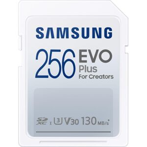 SAMSUNG EVO Plus Class 10 SDXC Memory Card - 256 GB