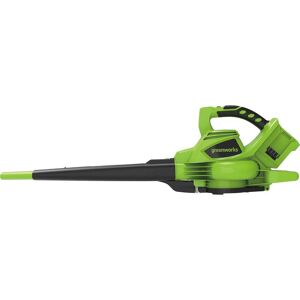 GREENWORKS GD24X2BV Garden Vacuum & Leaf Blower - Black & Green