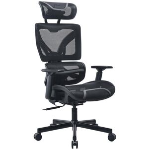 ADX Ergonomic X 24 Gaming Chair - Black & Grey, Black,Silver/Grey