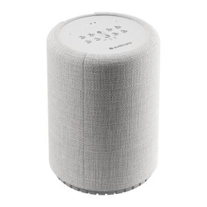 Audio Pro AUDIOPRO G10 Wireless Multi-room Speaker with Google Assistant - Light Grey, Silver/Grey