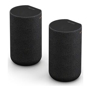 SONY SA-RS5 2.0.2 Wireless Rear Speaker Kit, Black