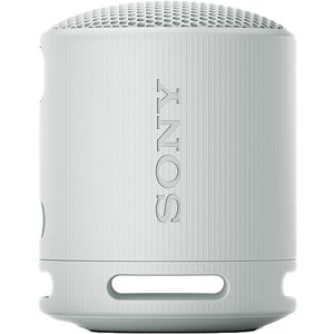 SONY SRS-XB100 Portable Bluetooth Speaker - Light Grey, Silver/Grey