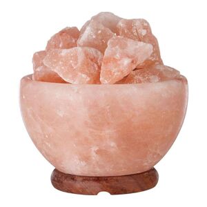 INTERIORS by Premier Bowl Salt Lamp