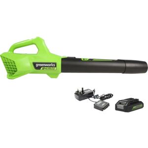 GREENWORKS GWG24ABK2 Leaf Blower with 1 Battery - Black & Green