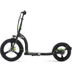 ARGENTO AR-MO-210001 Electric Folding Scooter - Black, Black