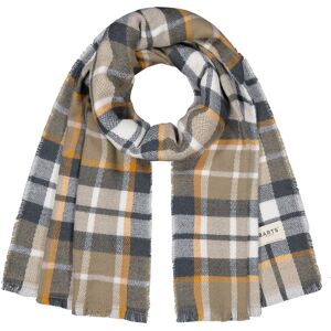 Barts Spenter Scarf Multicolour Green- male Barts Spenter Scarf Multicolour Green- male