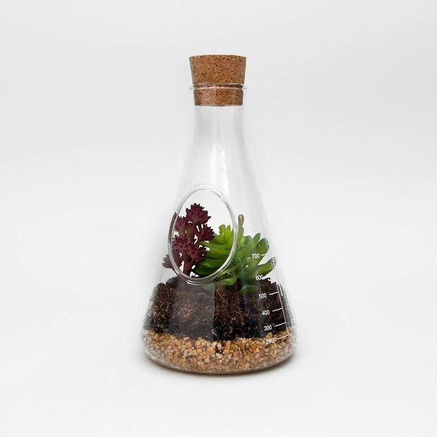 Suck UK Chemistry Terrarium Kit