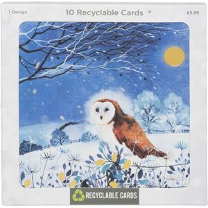 Whsmith Recyclable Woodland Owl Christmas Card Pack Of 10