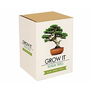 Gift Republic Bonsai Grow It