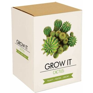 Gift Republic Cactus Grow It