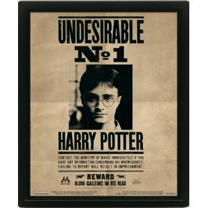 PYRAMID INTERNATIONAL Harry Potter (Harry & Sirius) Framed 10 X 8" 3d Lenticular Poster (Framed) PYRAMID INTERNATIONAL Harry Potter (Harry & Sirius) Framed 10 X 8" 3d Lenticular Poster (Framed)