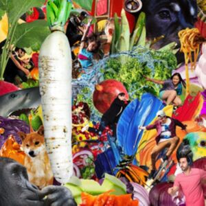 Hausu Mountain The Radiant Radish Hausu Mountain The Radiant Radish