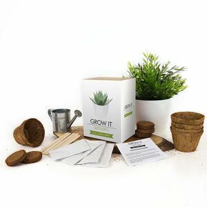 Gift Republic Succulent Grow It Kit