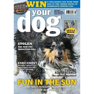 Warners Group Publications Your Dog