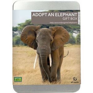 Gift Republic Adopt An Elephant Gift Set