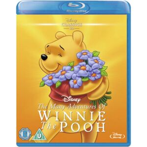 Walt Disney Studios Winnie The Pooh: The Many Adventures Of Winnie The Pooh