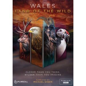 Dazzler Wales - Land Of The Wild Dazzler Wales - Land Of The Wild