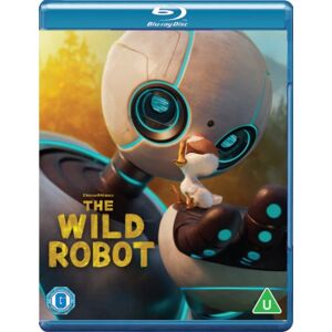 Universal Pictures The Wild Robot Universal Pictures The Wild Robot