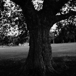 XL Recordings A Place 2 Drown (Instrumentals) XL Recordings A Place 2 Drown (Instrumentals)