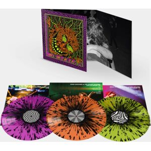 Reverberation Appreciation King Gizzard - Live In Miami '24 Reverberation Appreciation King Gizzard - Live In Miami '24