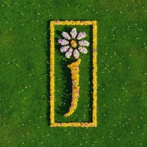 UMR Nothing But Love: The Definitive Of UMR Nothing But Love: The Definitive Of