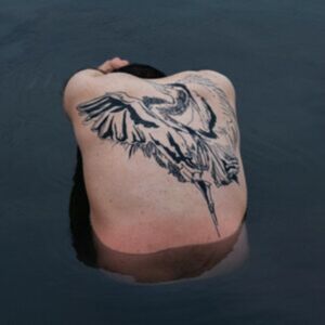 Sooper Records Blue Heron Sooper Records Blue Heron