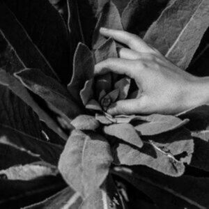 Denovali Heide Denovali Heide