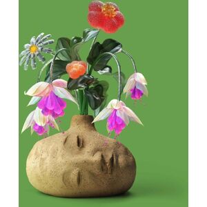 Topshelf Records Dreams Topshelf Records Dreams