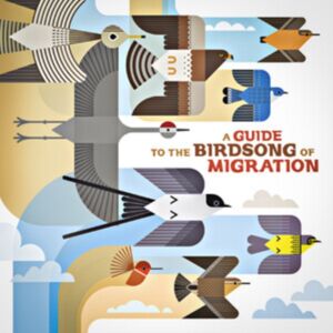 Shika Shika A Guide To The Birdsong Of Migration Shika Shika A Guide To The Birdsong Of Migration
