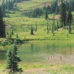 Double Double Whammy Great Big Wild Oak Double Double Whammy Great Big Wild Oak