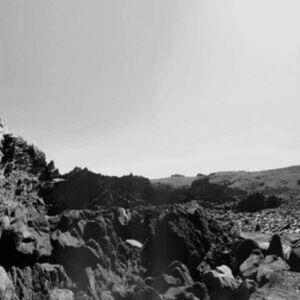 Three Lobed Veiled Sea Three Lobed Veiled Sea