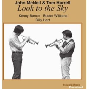 Steeplechase Look To The Sky Steeplechase Look To The Sky