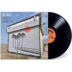 Flying Nun Records Corner Coming Up Flying Nun Records Corner Coming Up