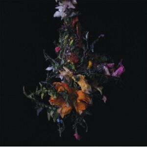 Thrill Jockey Nature Morte Thrill Jockey Nature Morte