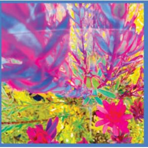 Fire Records The Past Is A Garden I Never Fed Fire Records The Past Is A Garden I Never Fed