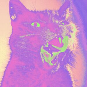 Telephone Explosion Records Good Time Telephone Explosion Records Good Time