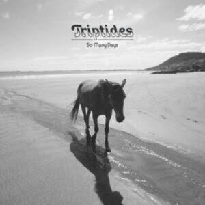 Curation Records So Many Days Curation Records So Many Days