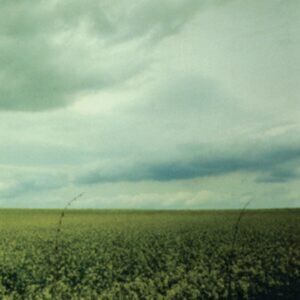 Solid Brass Records 23:03 Solid Brass Records 23:03