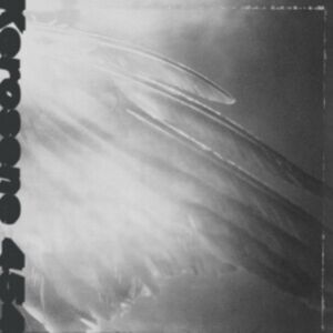 Solid Brass Records Came By To Kill Me Solid Brass Records Came By To Kill Me