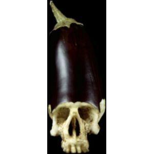 Mello Music Group Whole Food Mello Music Group Whole Food