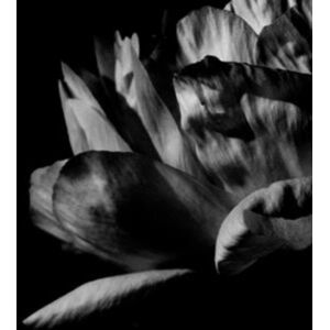 Si Vous Pouviez Danser Là Où Passe La Nuit Si Vous Pouviez Danser Là Où Passe La Nuit