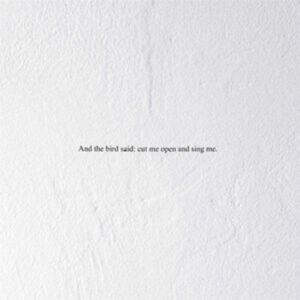 Denovali And The Bird Said: Cut Me Open And Sing Me Denovali And The Bird Said: Cut Me Open And Sing Me