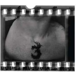 Darkness Shall Rise The 3rd And The Mortal Darkness Shall Rise The 3rd And The Mortal