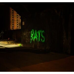 Allsorted Records Rule The World Allsorted Records Rule The World