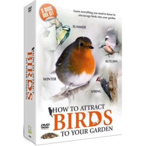 Fast Forward Music Ltd How To Attract Birds To Your Garden Fast Forward Music Ltd How To Attract Birds To Your Garden